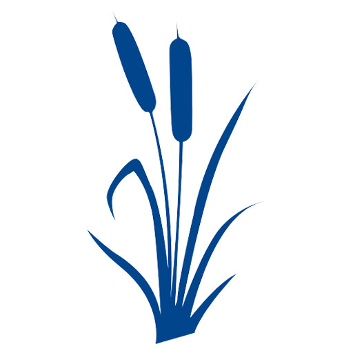 Favicon Burgenland Apotheke