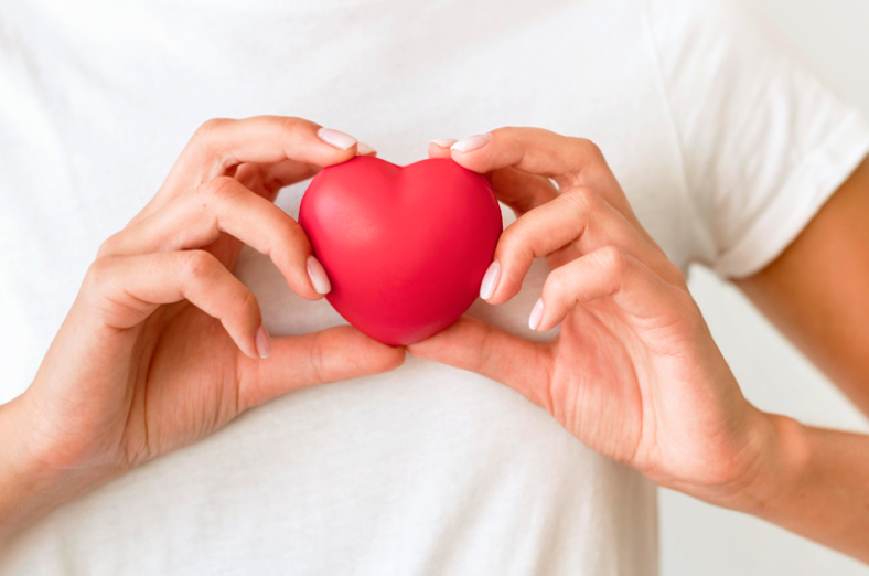 Herzgesundheit.png Eine Person hält ein rotes Herzen in beiden Händen vor einem hellen Hintergrund.